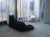 dsc08955_small.jpg