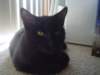 dsc08957_small.jpg