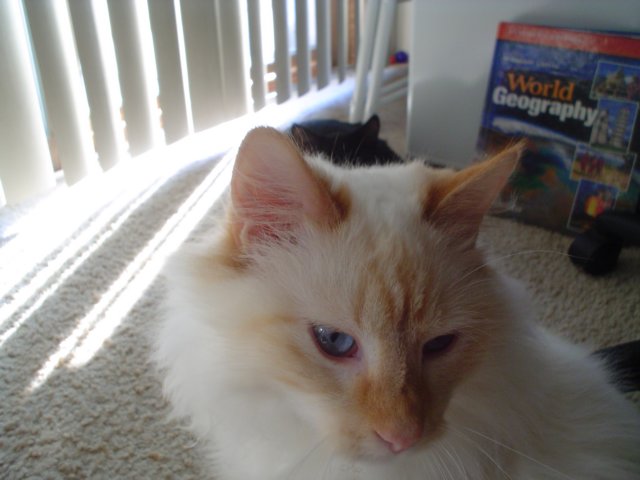 dsc08959.jpg