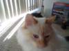 dsc08959_small.jpg