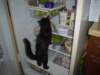 dsc08963_small.jpg