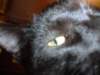 dsc08972_small.jpg
