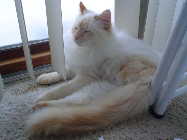 dsc09008.jpg