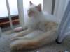 dsc09008_small.jpg