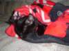 dsc09012_small.jpg