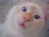 dsc09016_small.jpg