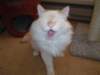 dsc09018_small.jpg