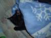 dsc09020_small.jpg