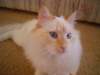 dsc09031_small.jpg