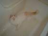 dsc09037_small.jpg