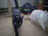 dsc09042_small.jpg