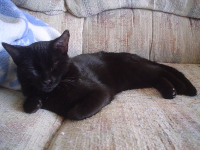 dsc09045.jpg