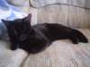 dsc09045_small.jpg