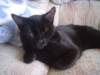 dsc09047_small.jpg