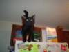 dsc09055_small.jpg