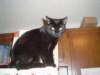 dsc09057_small.jpg