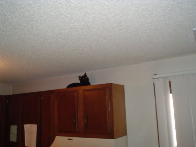 dsc09077.jpg