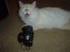 dsc09120_small.jpg