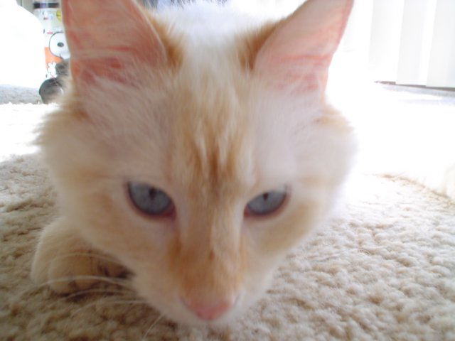 dsc09145.jpg