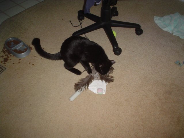 dsc09287.jpg