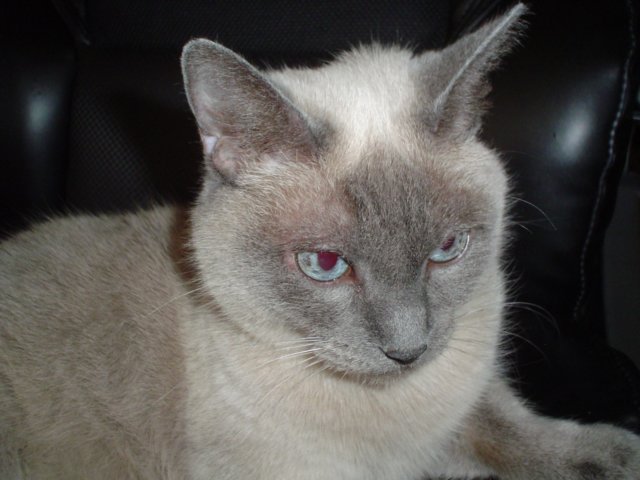 dsc09669.jpg