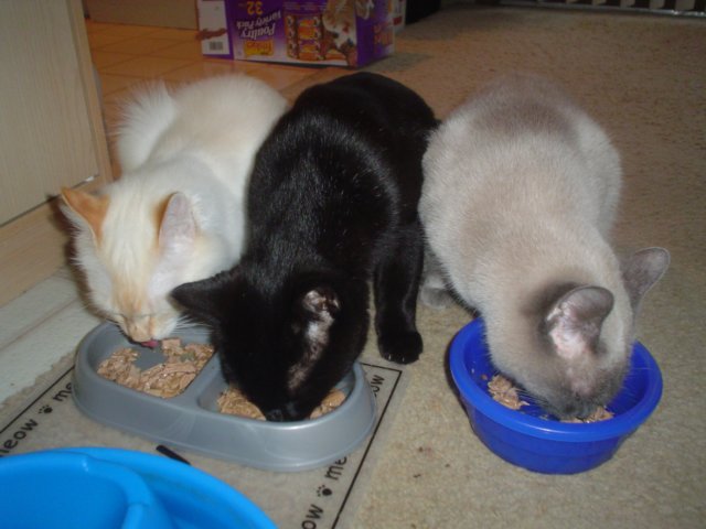 dsc09697.jpg