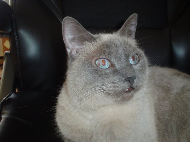 dsc09719.jpg