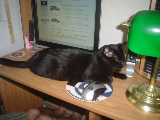 dsc09853.jpg