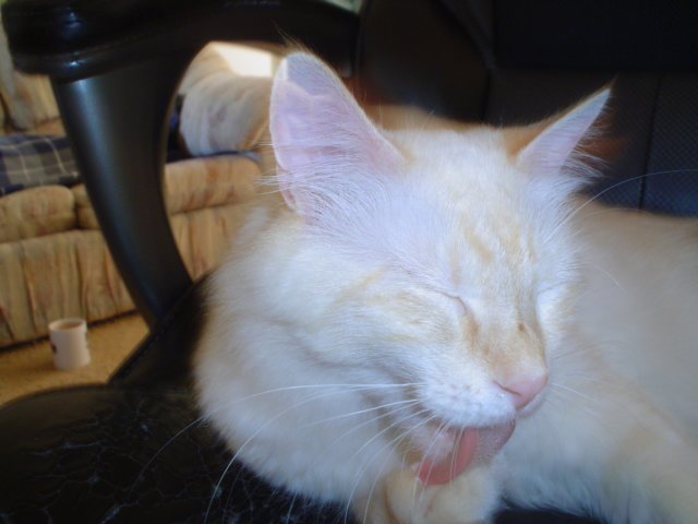 dsc09895.jpg