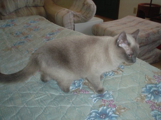 dsc09946.jpg