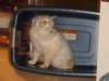 img_7657_small.jpg