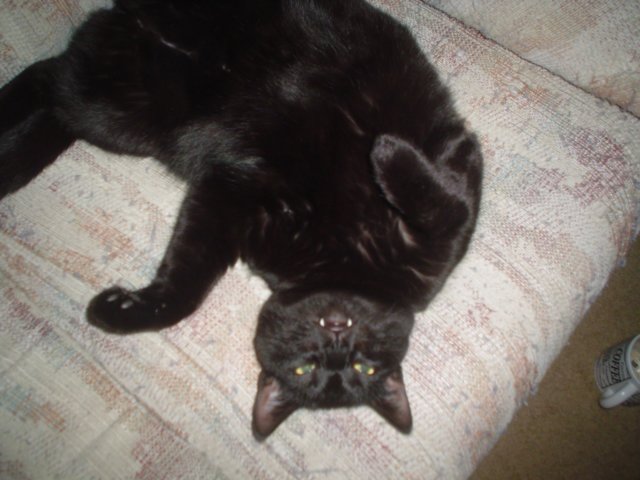 dsc00210.jpg
