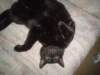 dsc00210_small.jpg