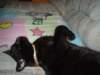 dsc00226_small.jpg