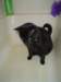 dsc00240_small.jpg