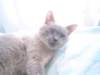 dsc00281_small.jpg