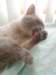 dsc00285_small.jpg