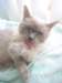 dsc00286_small.jpg