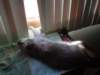 dsc00322_small.jpg