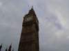 dsc01595_small.jpg
