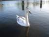 dsc01633_small.jpg