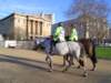 dsc01636_small.jpg