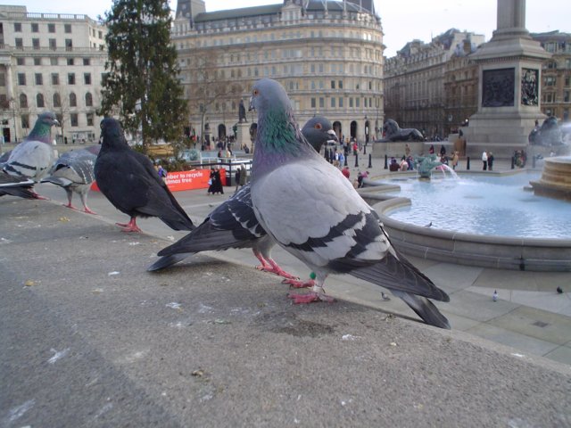 dsc01686.jpg