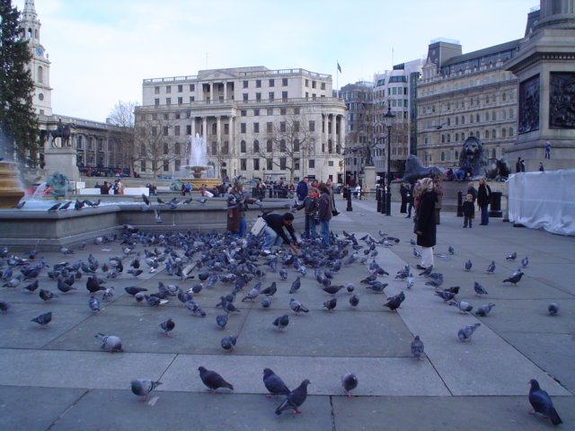 dsc01690.jpg
