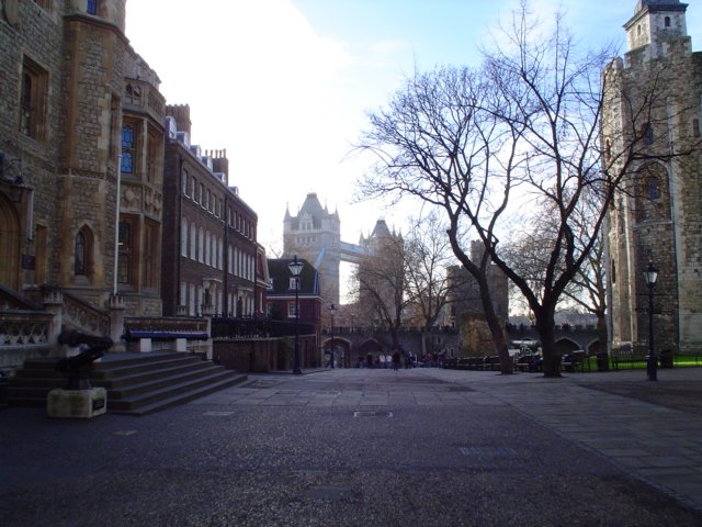 dsc01774.jpg