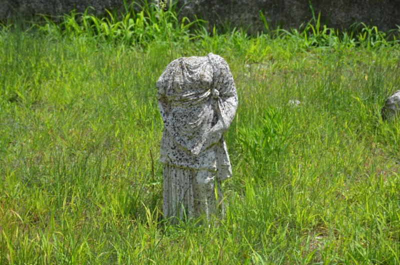 dsc_0303.jpg
