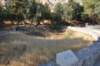 dsc_7971_small.jpg