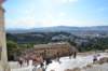 dsc_8078_small.jpg