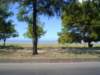 Photo Number 8