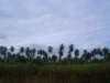 Photo Number 13